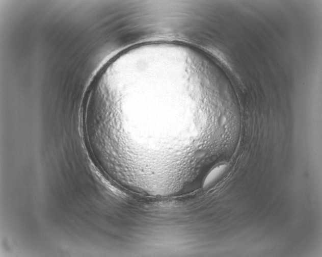 X0000056031468200509092152