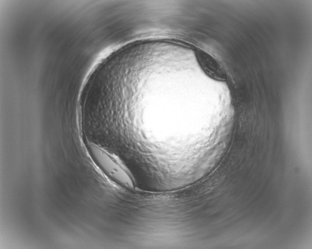 X0000056031472200509092152