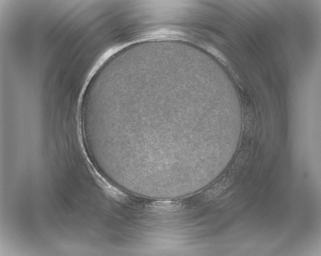 X0000056031478200509092152