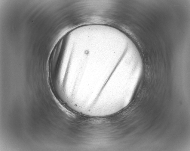 X0000056031479200509092152