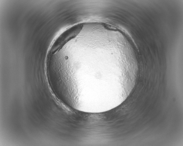 X0000056031480200509092152