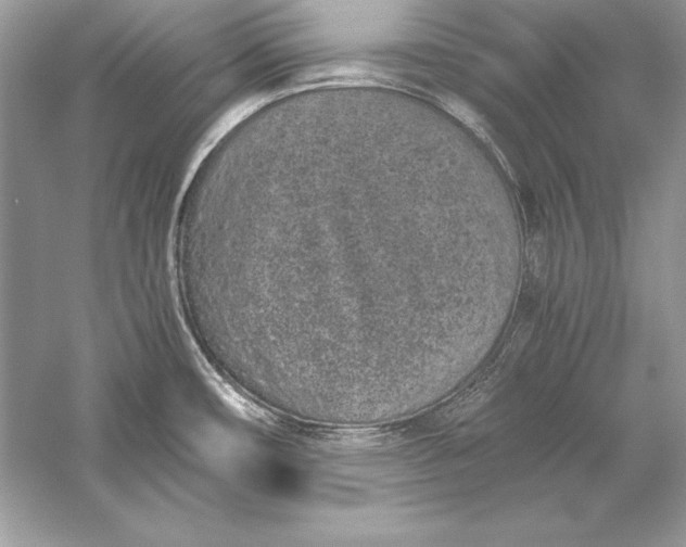 X0000056031482200509092152