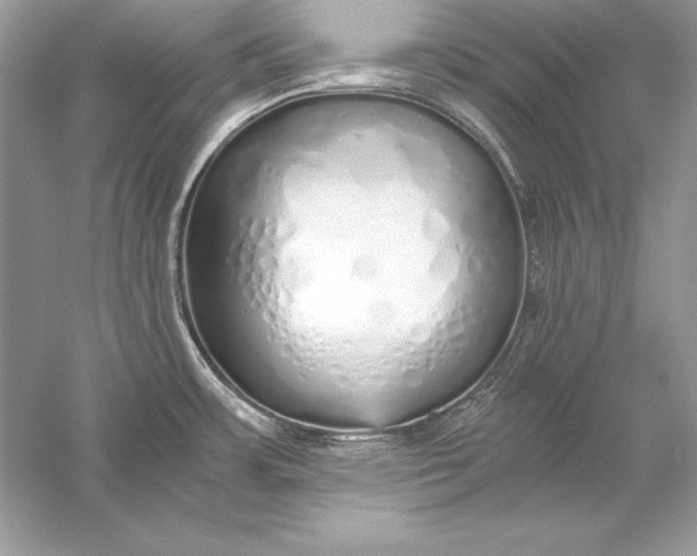 X0000056031483200509092152