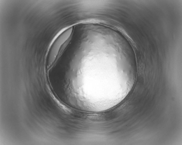 X0000056031484200509092152