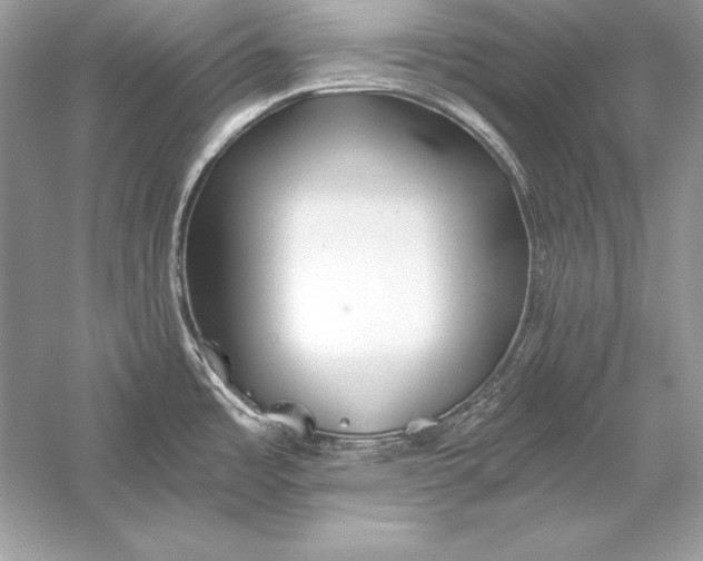 X0000056031485200509092152