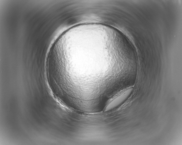 X0000056031488200509092152