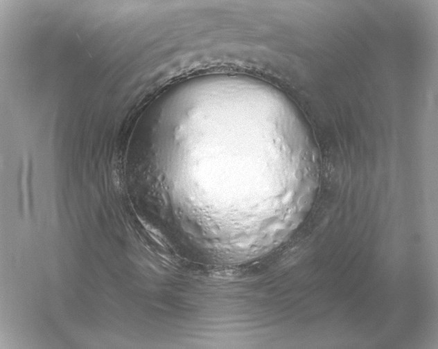 X0000056031490200509092151