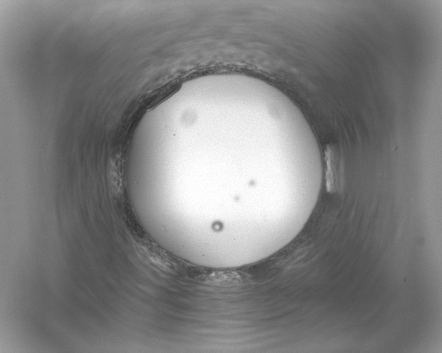 X0000056031491200509092151