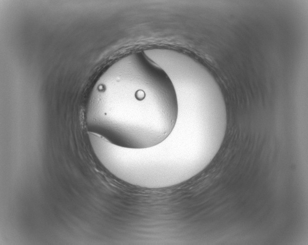 X0000056031492200509092151