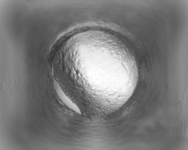 X0000056031494200509092151