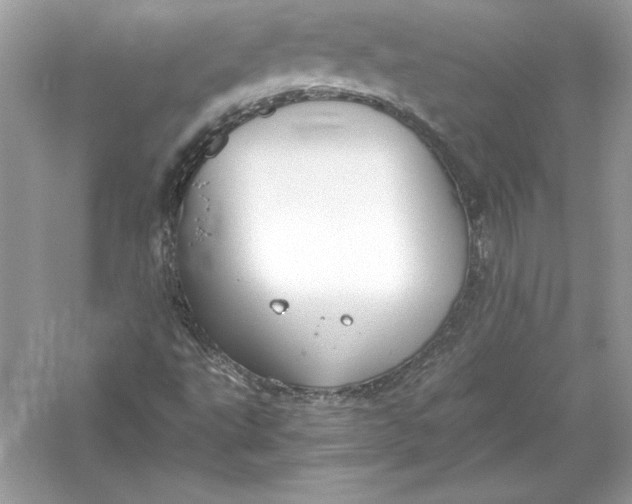 X0000056031495200509092151