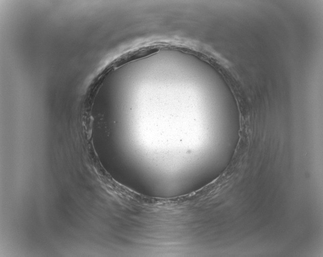 X0000056031496200509092151