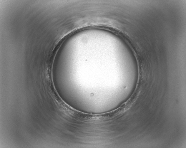 X0000056031497200509092151