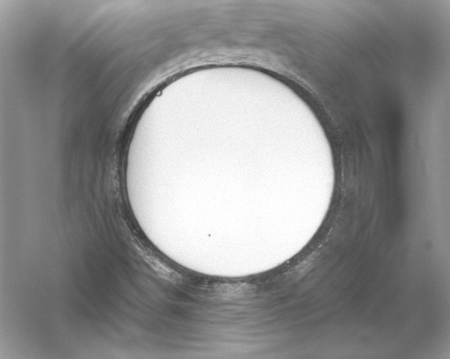 X0000056031498200509092151