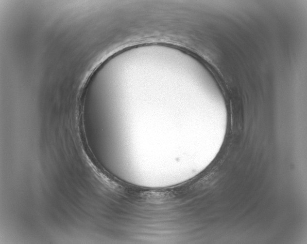 X0000056031500200509092151