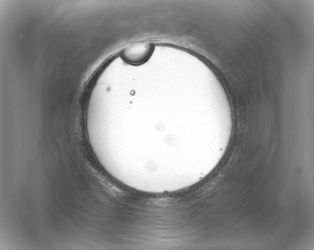 X0000056031502200509092151