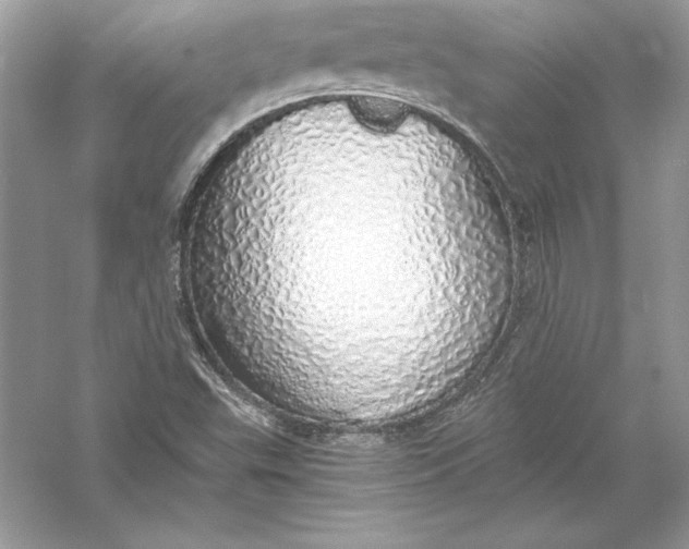 X0000056031503200509092151