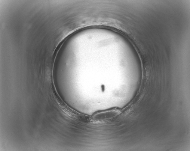 X0000056031505200509092151