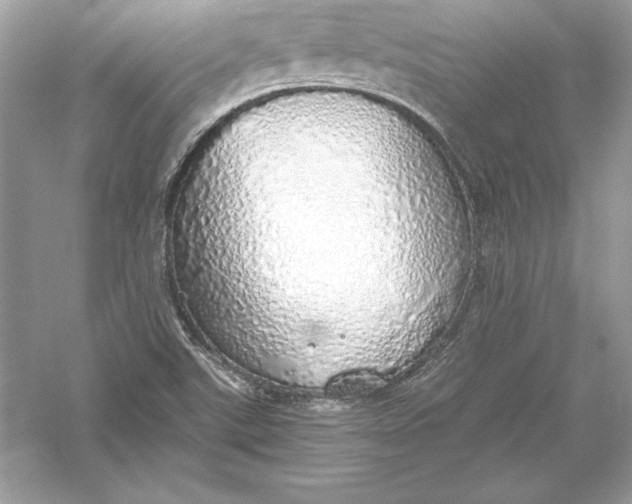 X0000056031507200509092151