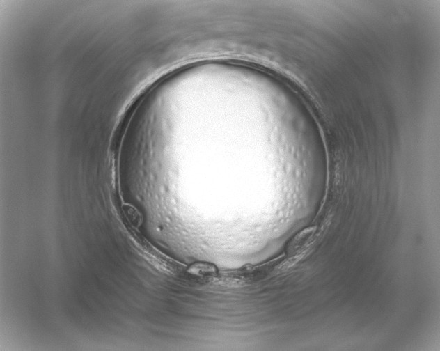 X0000056031509200509092151