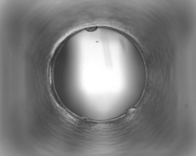 X0000056031510200509092151