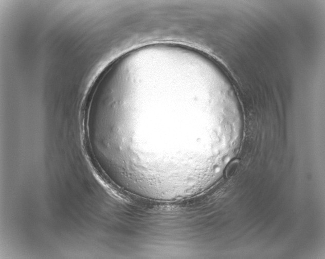 X0000056031511200509092151