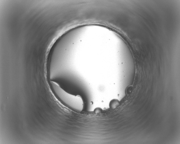 X0000056031512200509092151