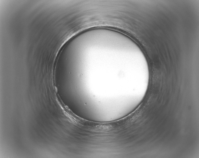 X0000056031513200509092151