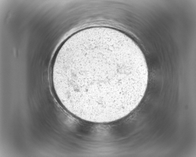 X0000056031514200509092151