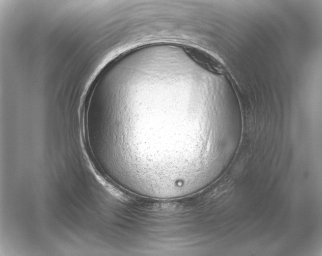 X0000056031515200509092151