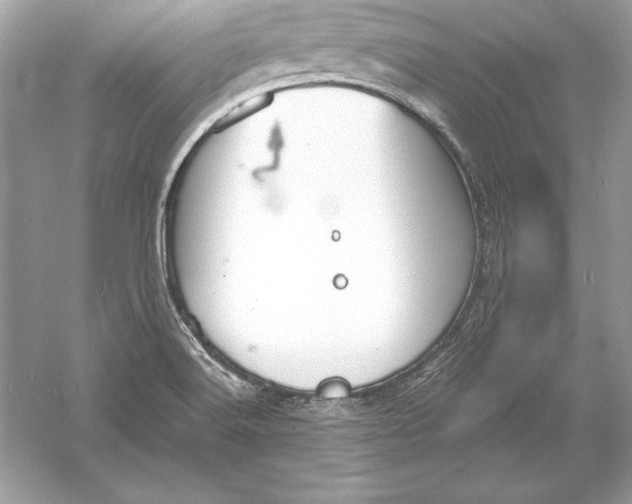 X0000056031516200509092151