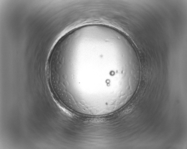 X0000056031519200509092152