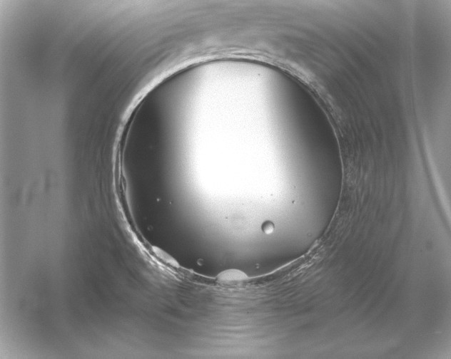 X0000056031520200509092152