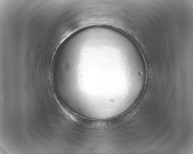 X0000056031521200509092152