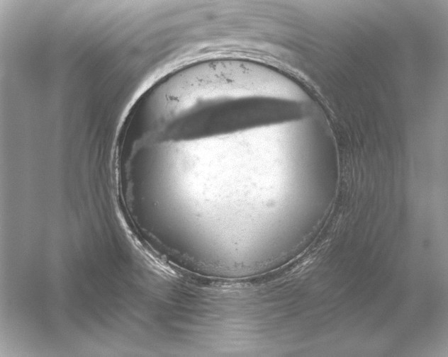 X0000056031522200509092152