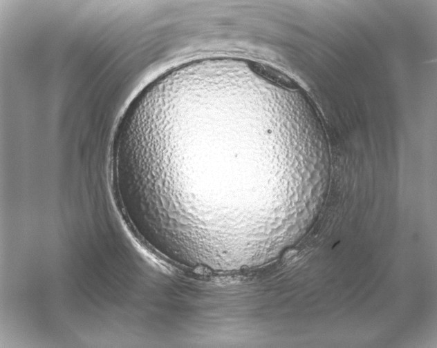 X0000056031523200509092152