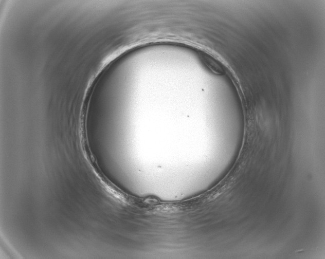 X0000056031525200509092152