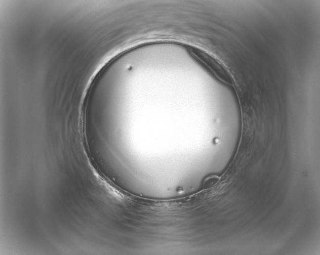 X0000056031527200509092152