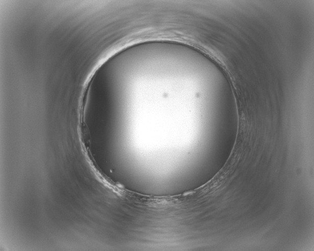 X0000056031528200509092152