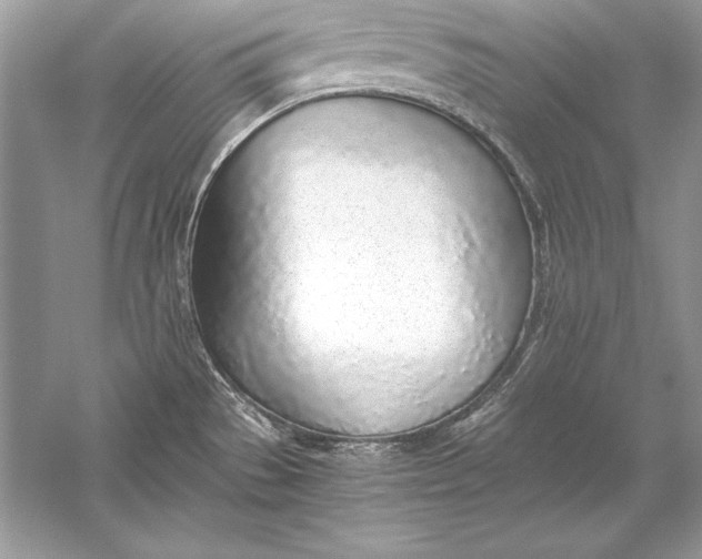 X0000056031529200509092152