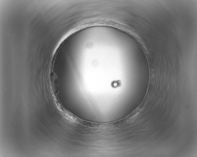 X0000056031530200509092152