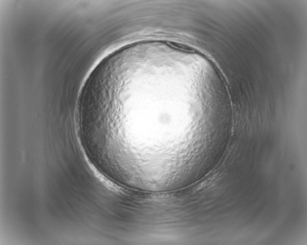 X0000056031531200509092152