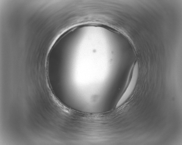 X0000056031532200509092152