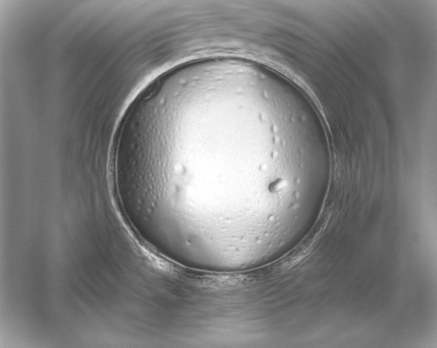 X0000056031533200509092152