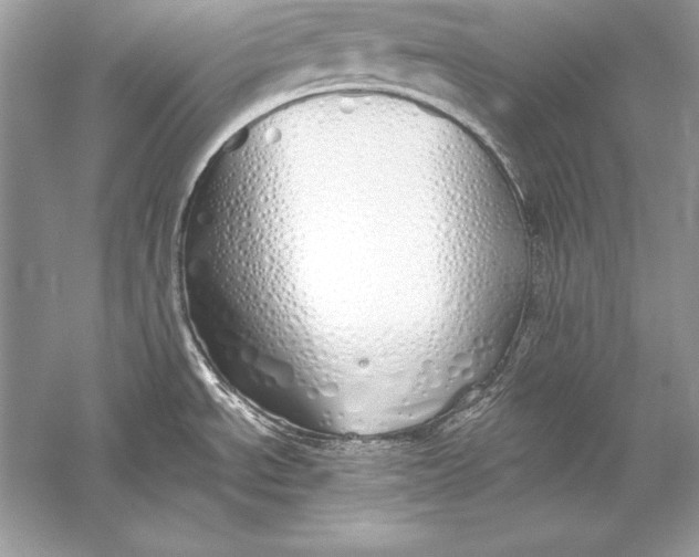 X0000056031534200509092152