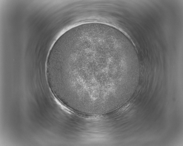 X0000056031535200509092152