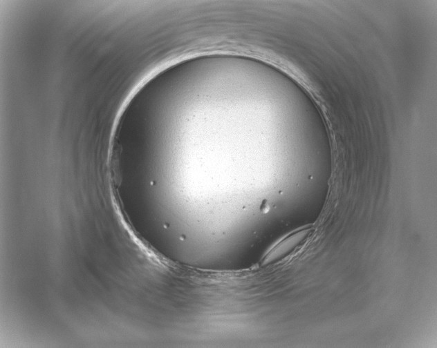 X0000056031536200509092152