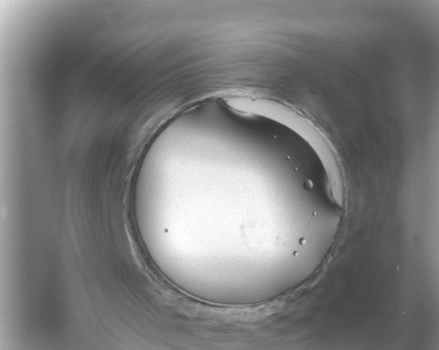 X0000056030001200509170049