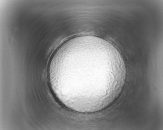 X0000056030002200509170049