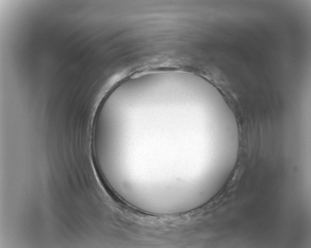 X0000056030003200509170049